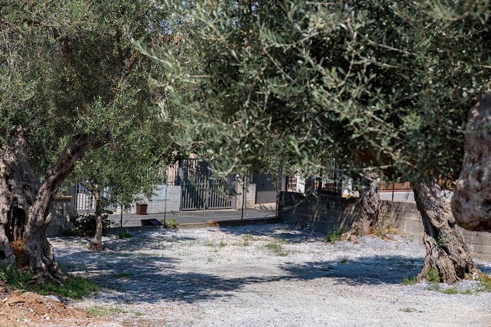 B&B Il Feudo Cirella Zewnętrze zdjęcie